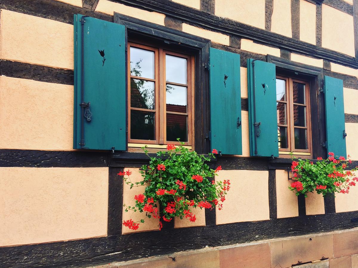 Chambres D'Hotes S'Burehiesel Schillersdorf Bagian luar foto